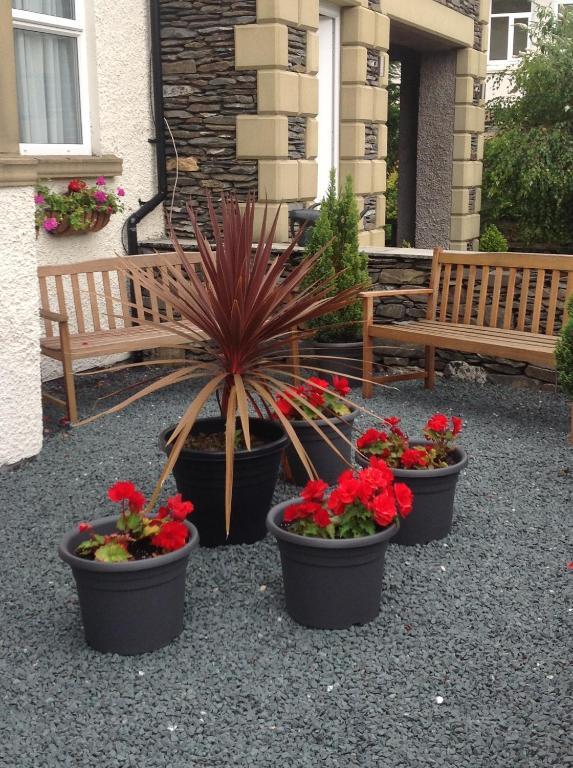 Thornbank House Offering Breakfast And With The Use Of Free Local Health Club Affittacamere